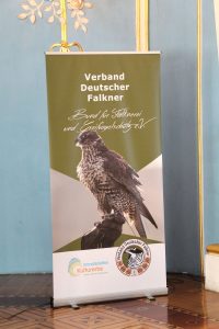 Fest der Falknerei Schloss Sondershausen