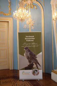 Fest der Falknerei Schloss Sondershausen