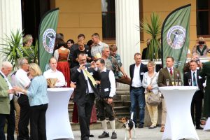 Fest der Falknerei Schloss Sondershausen