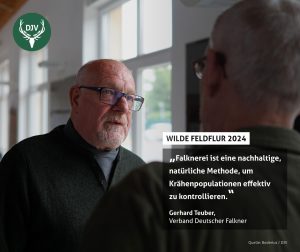 Kooperation des VDF Landesverband Sachsen-Anhalt e.V. mit dem Pilotprojekt „Wilde Feldflur“