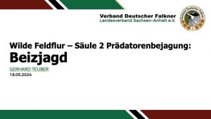 Kooperation des VDF Landesverband Sachsen-Anhalt e.V. mit dem Pilotprojekt „Wilde Feldflur“