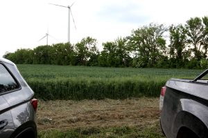 Kooperation des VDF Landesverband Sachsen-Anhalt e.V. mit dem Pilotprojekt „Wilde Feldflur“