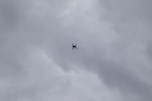 Kooperation des VDF Landesverband Sachsen-Anhalt e.V. mit dem Pilotprojekt „Wilde Feldflur“