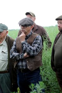 Kooperation des VDF Landesverband Sachsen-Anhalt e.V. mit dem Pilotprojekt „Wilde Feldflur“